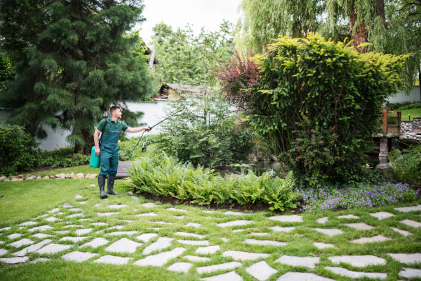 Professional Pest Control in Salt Creek Commons, IN