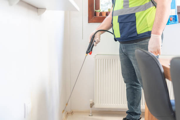 Best Termite Control Services  in Salt Creek Commons, IN