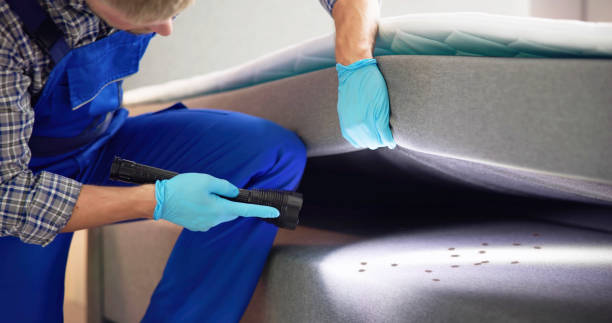 Best Exterminator Services  in Salt Creek Commons, IN