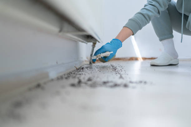 Best Residential Pest Control  in Salt Creek Commons, IN